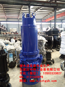100ZJQ4寸防爆电机潜水渣浆泵